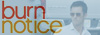Burn Notice Fan Blog